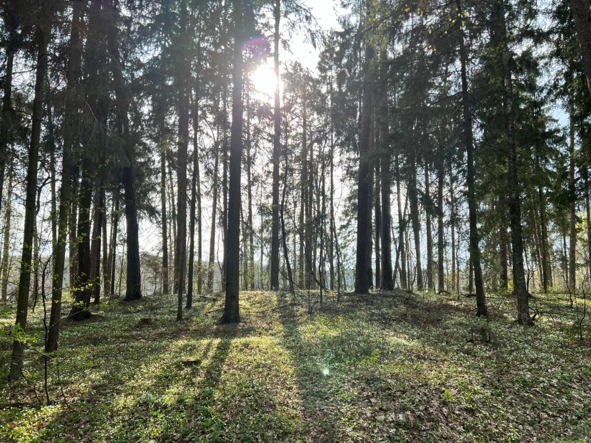 Raciborowka Apartment Swietajno  ภายนอก รูปภาพ